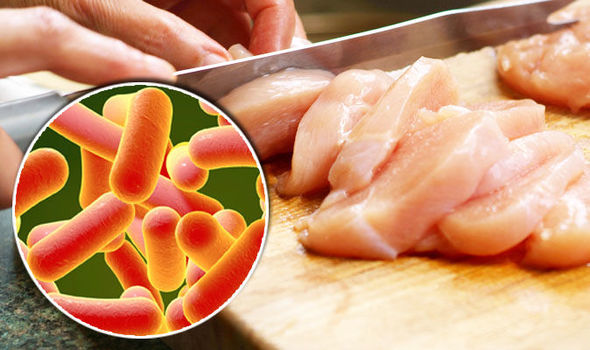 باکتری salmonella در گوشت